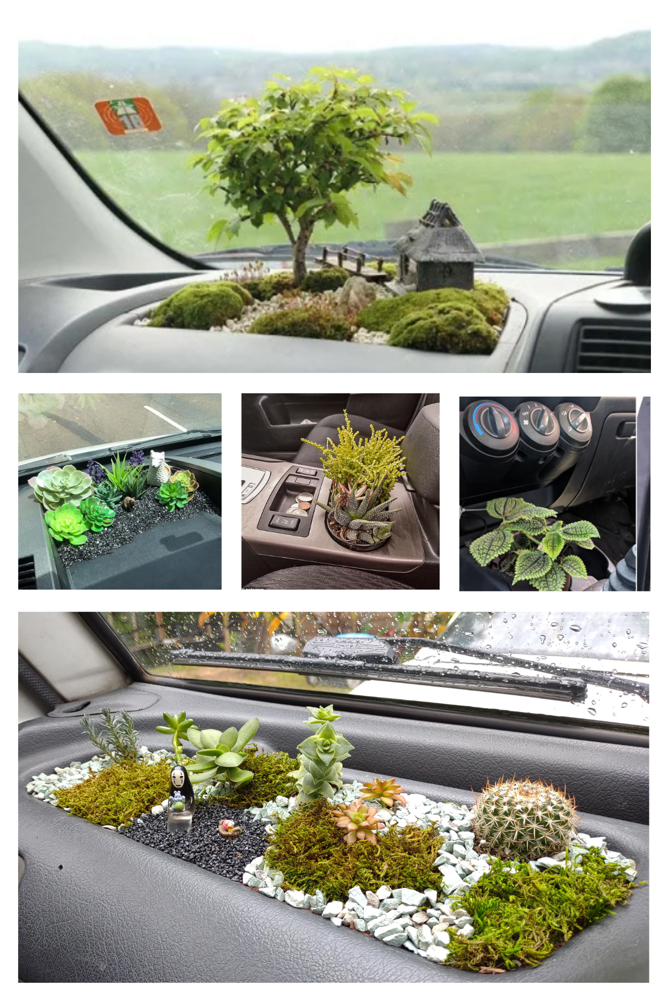 You are currently viewing “Refresh Your Drive: The Art of Cardening – Bringing Nature into Your Car”