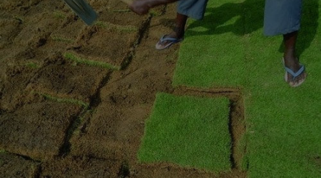 cropped-imageonline-co-darkenimage-12