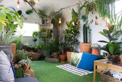 service-indoor-garden