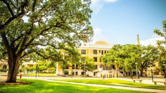 services-card-institute