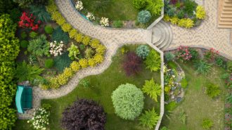 services-card-landscape