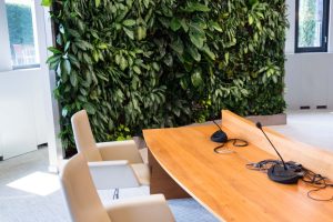Living green wall, vertical garden indoors with flowers and plants under artificial lighting in meeting boardroom, modern office building
